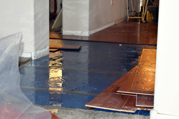 Professional Sewage Cleanup technician working in Lamy, NM
